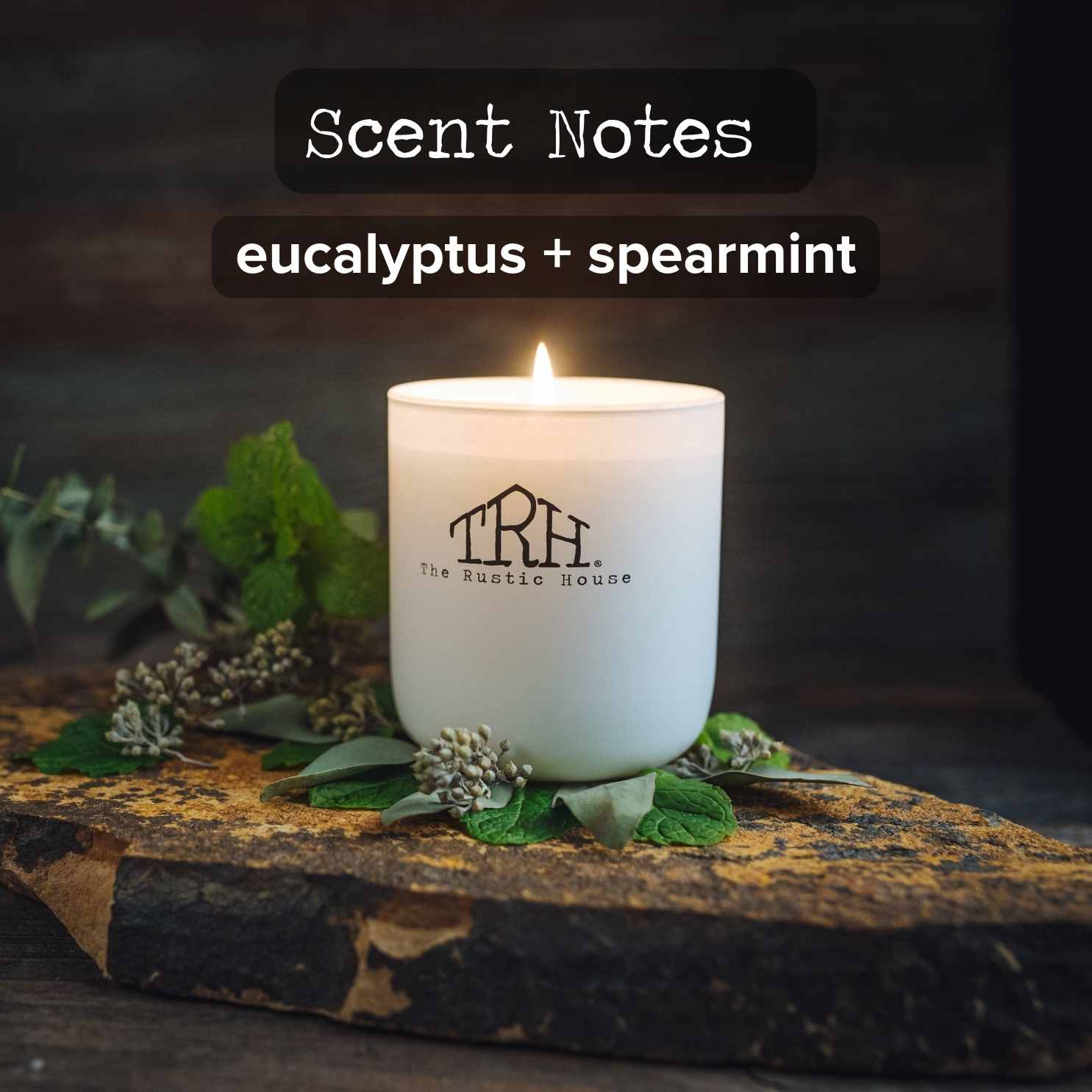 Eucalyptus + Spearmint Glass Candle | The Rustic House