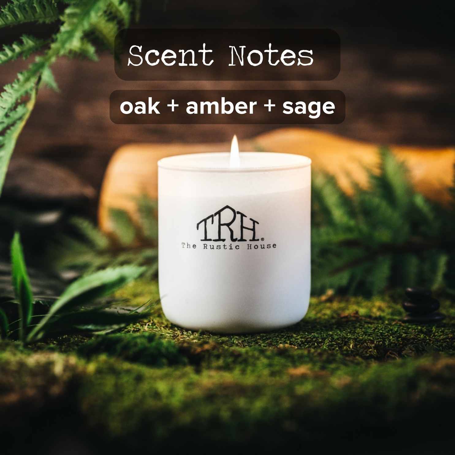Oak + Moss Glass Candle | The Rustic House