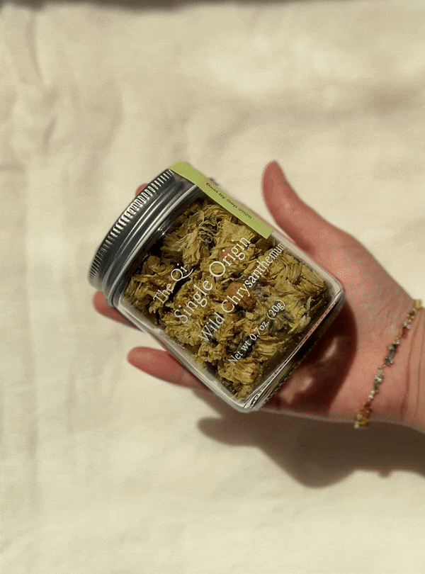 Wild Chrysanthemum | The Qi