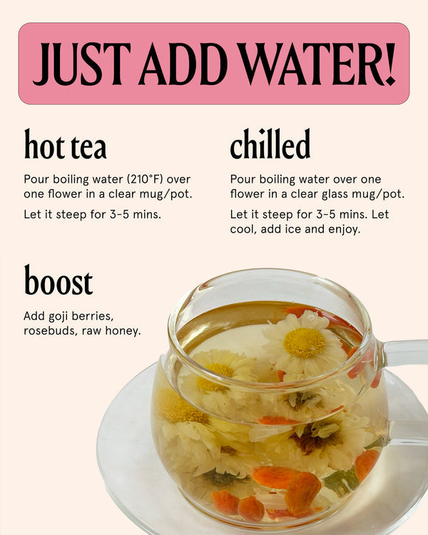 Wild Chrysanthemum | The Qi