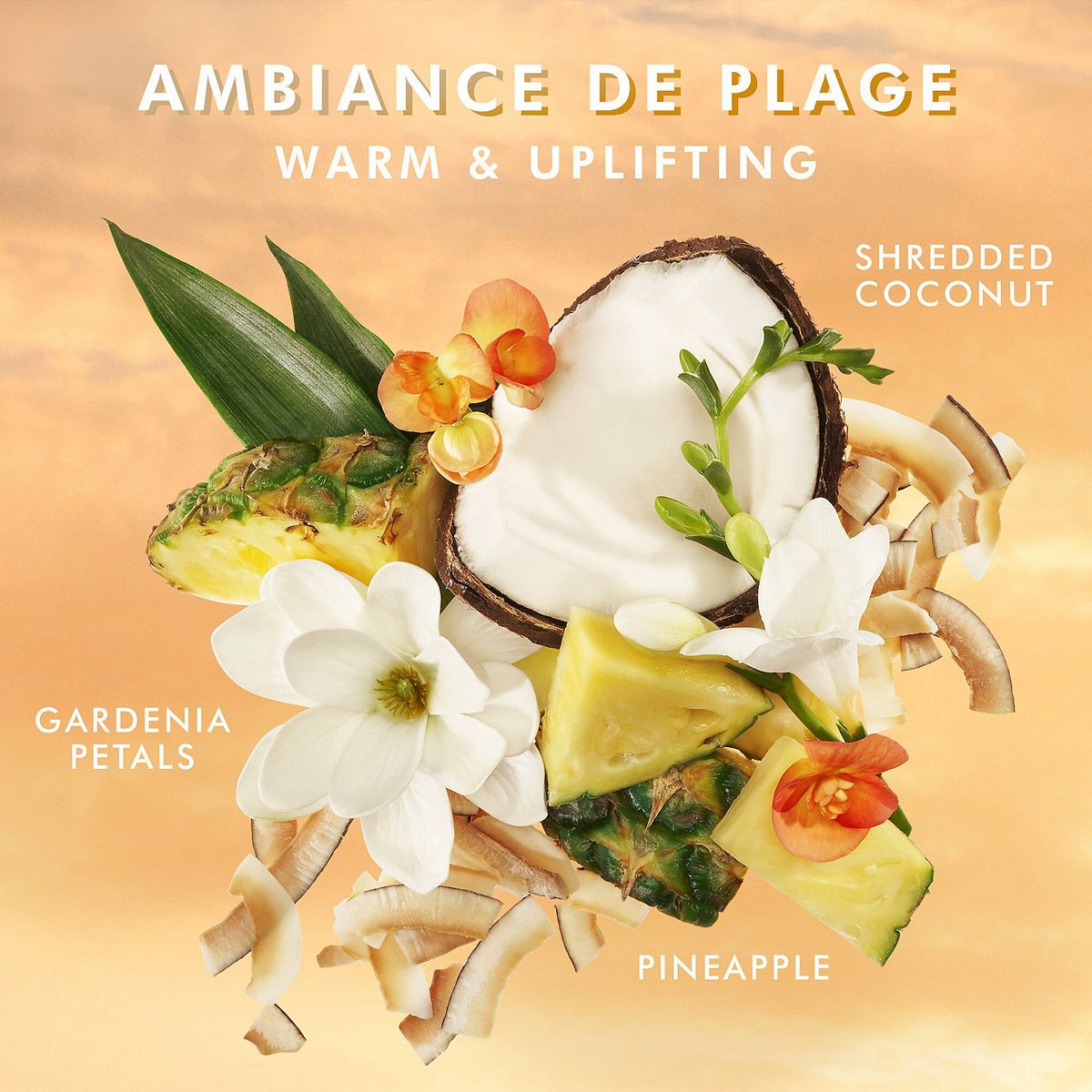 Body Lotion | Moroccanoil