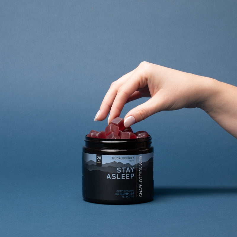 Stay Asleep Gummies | Charlotte’s Web