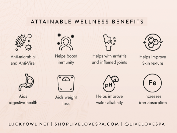 Classic Copper Bottle (24oz) | Lucky Owl