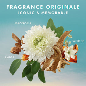 White magnolia flower surrounded by amber, woods, and green leaves illustrating the iconic and memorable fragrance of Body Polishing Scrub | Moroccanoil in a calming blue background.