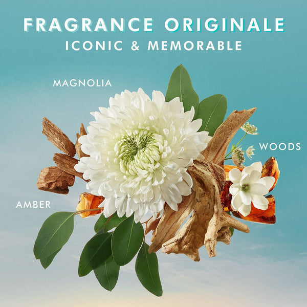 White magnolia flower surrounded by amber, woods, and green leaves illustrating the iconic and memorable fragrance of Body Polishing Scrub | Moroccanoil in a calming blue background.