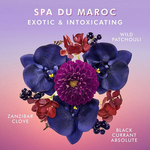 Body Lotion | Moroccanoil