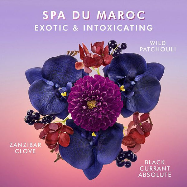 Body Lotion | Moroccanoil