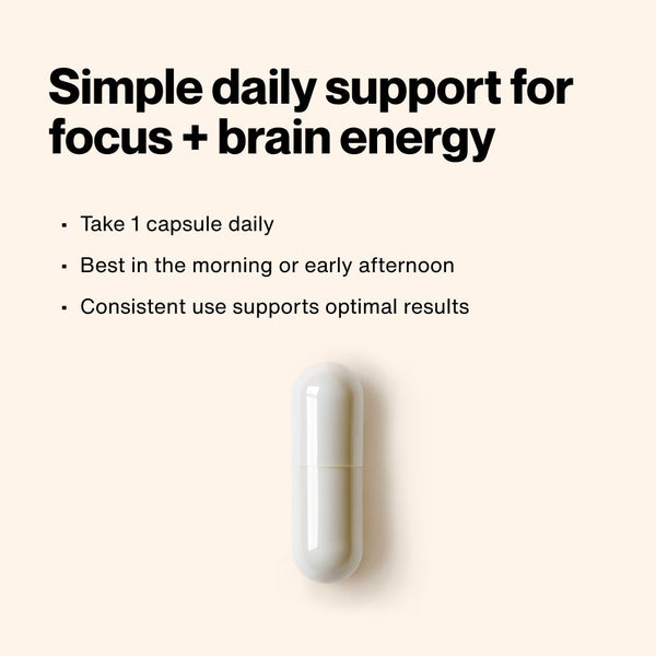 Acetyl L-Carnitine wellness supplement capsule with guidance to take one capsule daily in the morning or early afternoon for focus and brain energy support