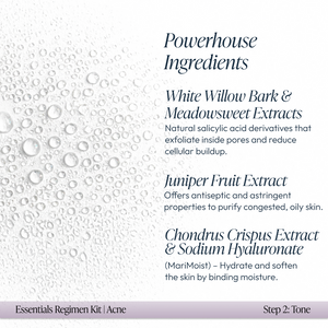 Close-up of water droplets on a white surface alongside text detailing powerhouse ingredients including White Willow Bark, Meadowsweet Extracts, Juniper Fruit Extract, Chondrus Crispus Extract, and Sodium Hyaluronate with moisturizing benefits for oily, congested skin in the Acne Regimen Bundle | Circadia.
