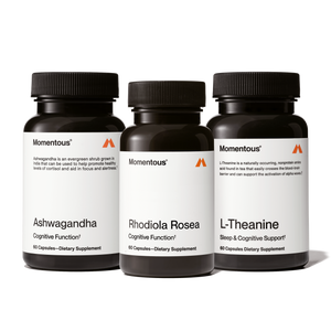 Three dark bottles of dietary supplements labeled Ashwagandha, Rhodiola Rosea, and L-Theanine, arranged side by side with clean white labels, representing the Adaptogen Stack for cognitive function and wellness.