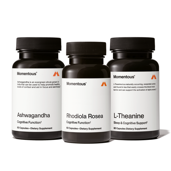 Three dark bottles of dietary supplements labeled Ashwagandha, Rhodiola Rosea, and L-Theanine, arranged side by side with clean white labels, representing the Adaptogen Stack for cognitive function and wellness.