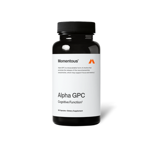 Bottle of Alpha GPC dietary supplement capsules designed to support cognitive function and brain health with a clean white and black label.