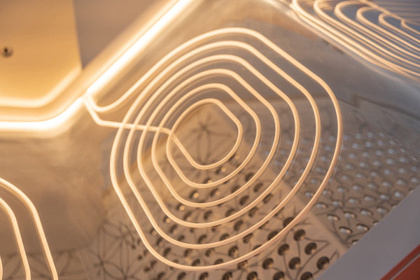 Ammortal Chamber | Ammortal