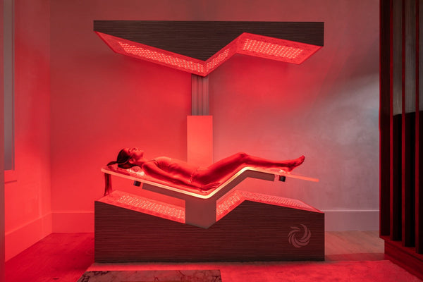 Ammortal Chamber | Ammortal