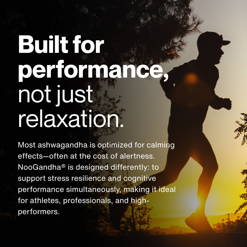 Bottle of Ashwagandha dietary supplement by Momentous, designed to support cognitive function and promote healthy cortisol levels for wellness and focus.