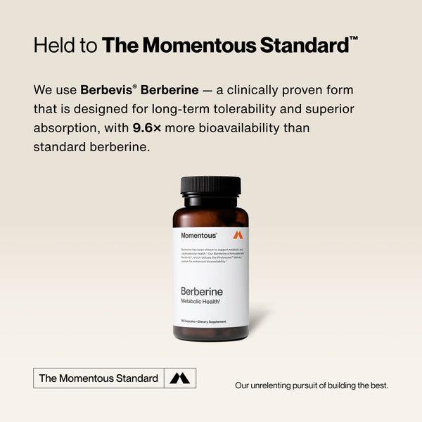 Bottle of Berberine dietary supplement from Momentous shown with text highlighting its clinically proven formula for better absorption and long-term tolerability.