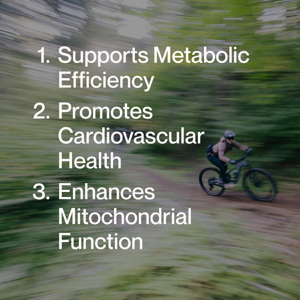 Person riding a mountain bike on a forest trail with overlay text listing benefits of Berberine, including supporting metabolic efficiency, promoting cardiovascular health, and enhancing mitochondrial function.
