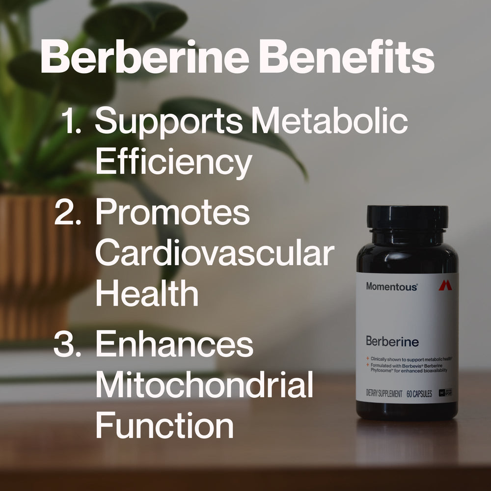 Bottle of Berberine dietary supplement by Momentous, supporting metabolic health with advanced bioavailability, containing 60 capsules for wellness supplementation.