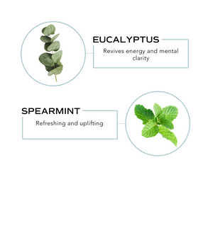 Close-up of eucalyptus and spearmint leaves with text highlighting their benefits for the Breathe Rollerball - Respiratory Support | Essence One, emphasizing energy, clarity, and uplifting freshness.