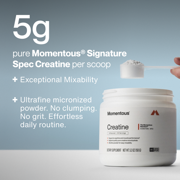 A hand holding a scoop of white powder above a container of The Momentous Three creatine supplement featuring 5g pure Momentous Signature Spec Creatine per scoop with exceptional mixability and ultrafine micronized powder for effortless daily use.