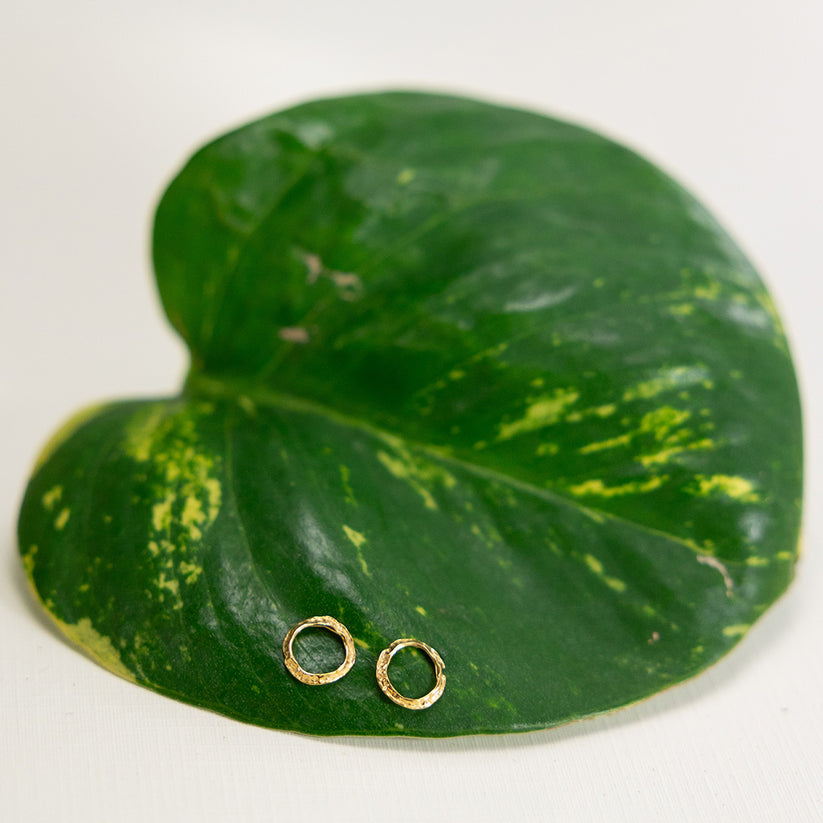 Small gold textured circular stud earrings shown on a white background, Small Opihi Circle Posts | Catherine Weitzman Jewelry.