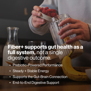 Fiber+ supports gut health as a full system with prebiotic powered performance steady energy gut brain connection and digestive support while a person blends raspberries and banana
