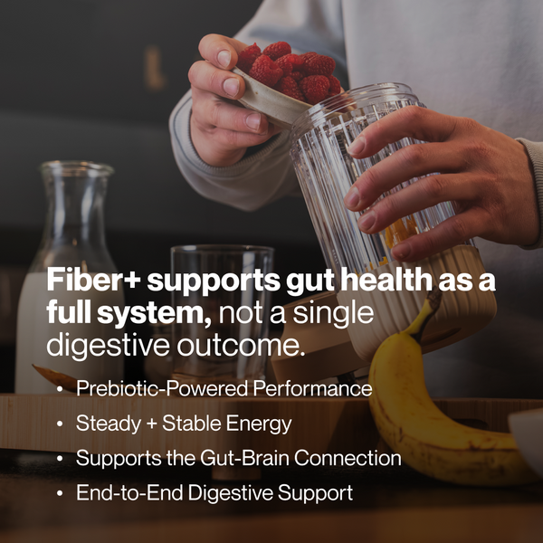 Fiber+ supports gut health as a full system with prebiotic powered performance steady energy gut brain connection and digestive support while a person blends raspberries and banana