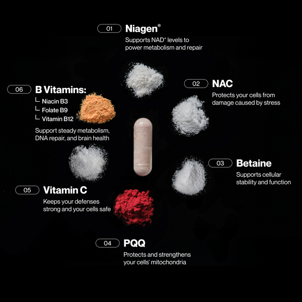 Longevity wellness supplement infographic showing a capsule surrounded by Niagen NAC Betaine PQQ vitamin C and B vitamins with benefits for metabolism and cellular health