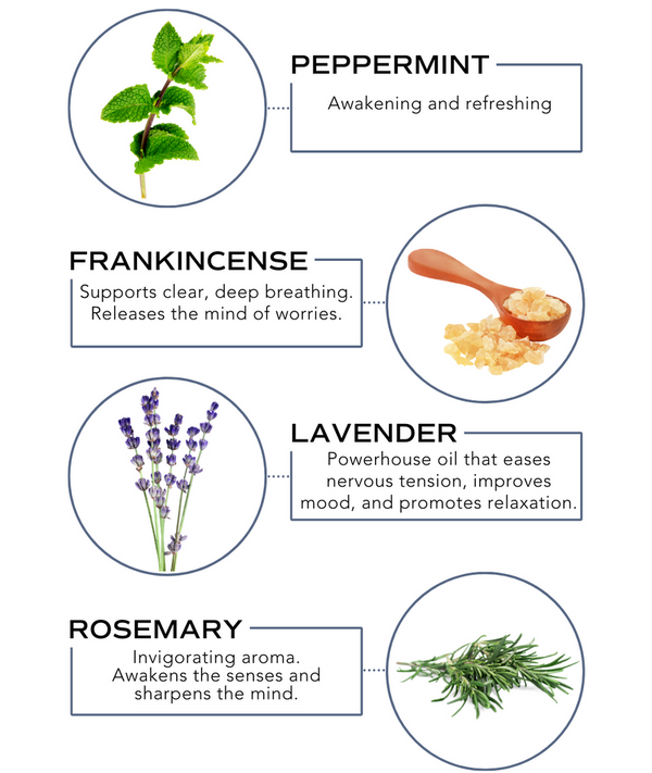 Diagram showing ingredients and benefits of Head Relief Rollerball - Tension Support | Essence One, including peppermint for awakening and refreshing, frankincense for clear breathing and stress relief, lavender for easing nervous tension and promoting relaxation, and rosemary for an invigorating aroma that sharpens the mind.