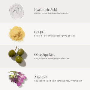 Close-up of key ingredients for HydroPure™ Tinted Serum with Hyaluronic Acid & CoQ10 | Jane Iredale, including hyaluronic acid, CoQ10 powder, green olives representing olive squalane, and allantoin flowers.