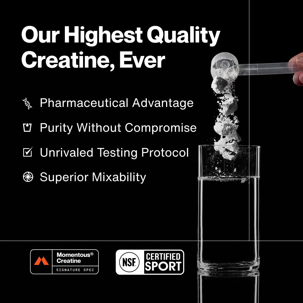 White container of Creatine - 90 Servings dietary supplement by Momentous, designed to support cognitive and muscle performance with high purity creatine monohydrate powder.