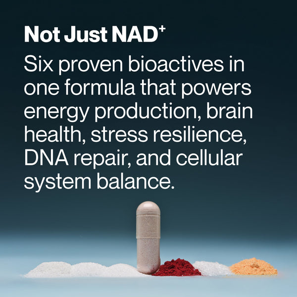 Text highlighting benefits of Longevity supplement with six proven bioactives supporting energy, brain health, stress resilience, DNA repair, and cellular balance, shown above three different colored powders and a capsule.