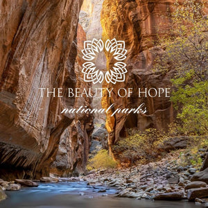 Scenic view of a sunlit canyon with rocky walls and a flowing river, featuring the logo and text "The Beauty of Hope national parks" overlaid, promoting the Acadia 8oz Candle | The Beauty of Hope.