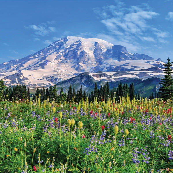 Scenic view of Mount Rainier with snow-capped peaks above a vibrant wildflower meadow, evoking the serene inspiration behind the Mount Rainier 8oz Candle | The Beauty of Hope.