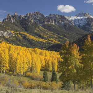 Scenic autumn view of colorful aspen trees with golden leaves in a mountain valley under a clear blue sky, evoking the natural inspiration behind Rocky Mountain 8oz Candle | The Beauty of Hope.