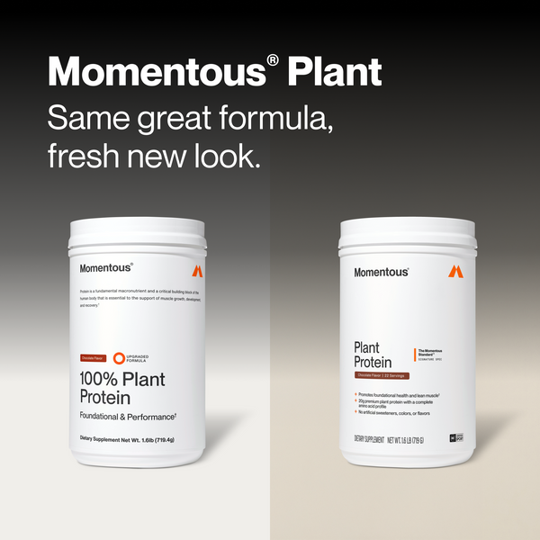 Two white containers of 100% Plant Protein Powder displayed against a neutral background with product labels visible