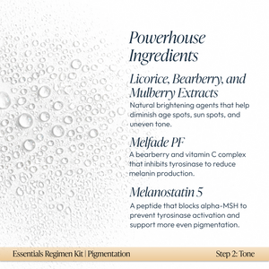 Text describing powerhouse ingredients in Pigmentation Essentials Regimen Kit | Circadia, including licorice, bearberry, mulberry extracts, Melfade PF, and Melanostatin 5 for brightening and even skin tone.