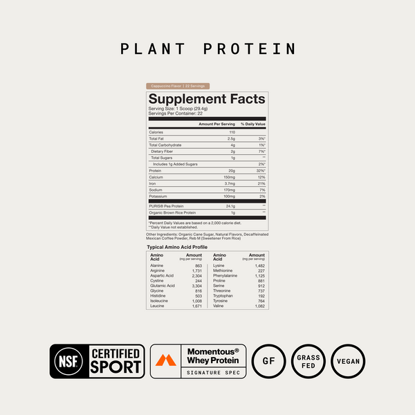 100% Plant Protein Powder
