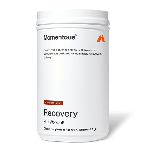 White container of Recovery dietary supplement in chocolate flavor by Momentous, designed to support rapid recovery after training with proteins and carbohydrates.