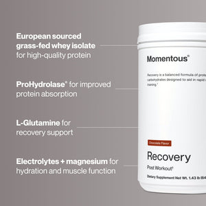 Container of Recovery post workout supplement in chocolate flavor with text highlighting European sourced grass-fed whey isolate, ProHydrolase for protein absorption, L-Glutamine for recovery support, and electrolytes with magnesium for hydration and muscle function.