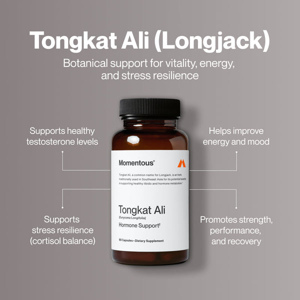Bottle of Tongkat Ali dietary supplement on a gray background with text highlighting benefits such as supporting healthy testosterone levels, stress resilience, improved energy and mood, and promoting strength and recovery.