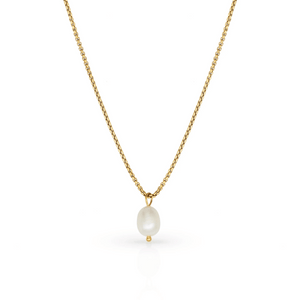 Delicate gold chain necklace featuring a single fresh pearl pendant, elegant and timeless design called Getting Fresh Pearl Gold Necklace | Love You More.
