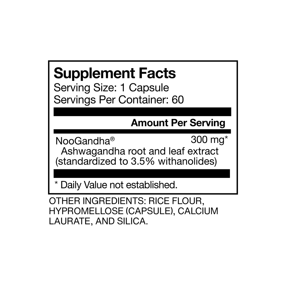 Three dark bottles of dietary supplements labeled Ashwagandha, Rhodiola Rosea, and L-Theanine, arranged side by side with clean white labels, representing the Adaptogen Stack for cognitive function and wellness.