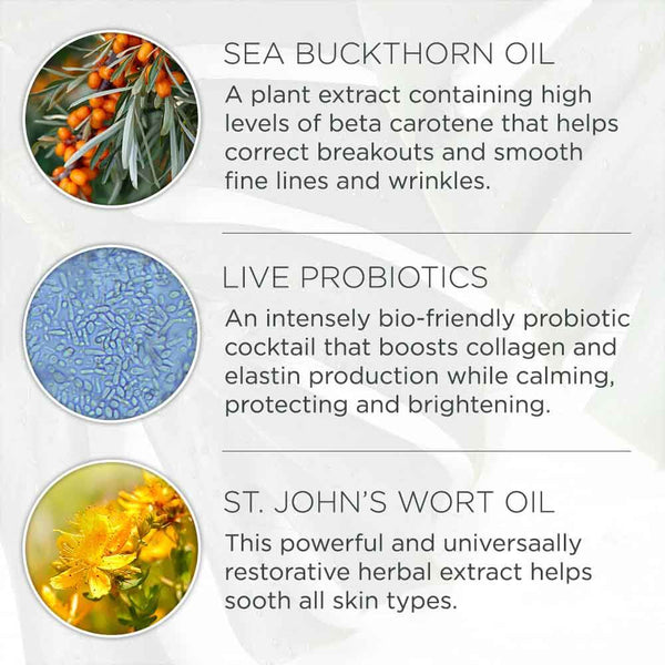 Close-up of the Discovery Kit | LaFlore ingredients including sea buckthorn oil, live probiotics, and St. John's wort oil, highlighting skincare benefits like smoothing fine lines, boosting collagen, and soothing skin.