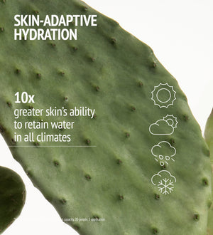 Close-up of a green cactus pad illustrating skin-adaptive hydration with text highlighting 10x greater skin’s ability to retain water in all climates for Hydramemory Rich Sorbet Cream | [ comfort zone ].