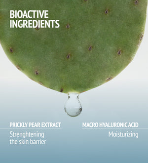 Close-up of a green prickly pear leaf with a drop of liquid falling, highlighting bioactive ingredients including prickly pear extract for strengthening the skin barrier and macro hyaluronic acid for moisturizing in Hydramemory Light Sorbet Cream | [ comfort zone ].