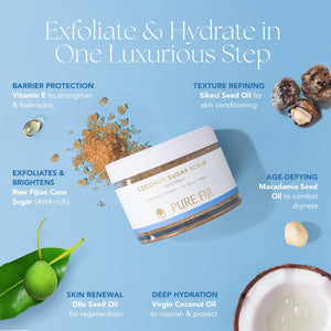Jar of Coconut Sugar Scrub | Pure Fiji surrounded by natural ingredients including raw cane sugar, macadamia nuts, coconut, and green seeds, highlighting its skincare benefits like exfoliation, hydration, and skin renewal.