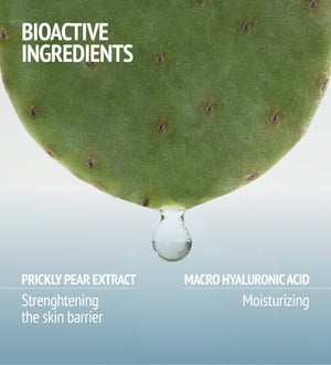 Close-up of a green prickly pear leaf with a water droplet highlighting bioactive ingredients in Hydramemory Rich Sorbet Cream | [ comfort zone ], featuring prickly pear extract and macro hyaluronic acid for skincare.