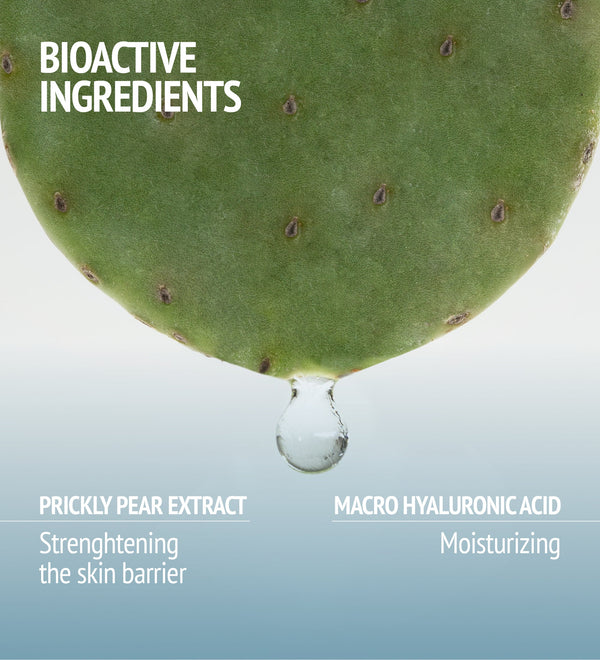 Close-up of a green prickly pear leaf with a water droplet highlighting bioactive ingredients in Hydramemory Rich Sorbet Cream | [ comfort zone ], featuring prickly pear extract and macro hyaluronic acid for skincare.