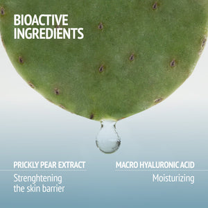 Close-up of a green prickly pear leaf with a water droplet hanging from the edge, highlighting bioactive ingredients for skincare in Kit Night Garden | [ comfort zone ].